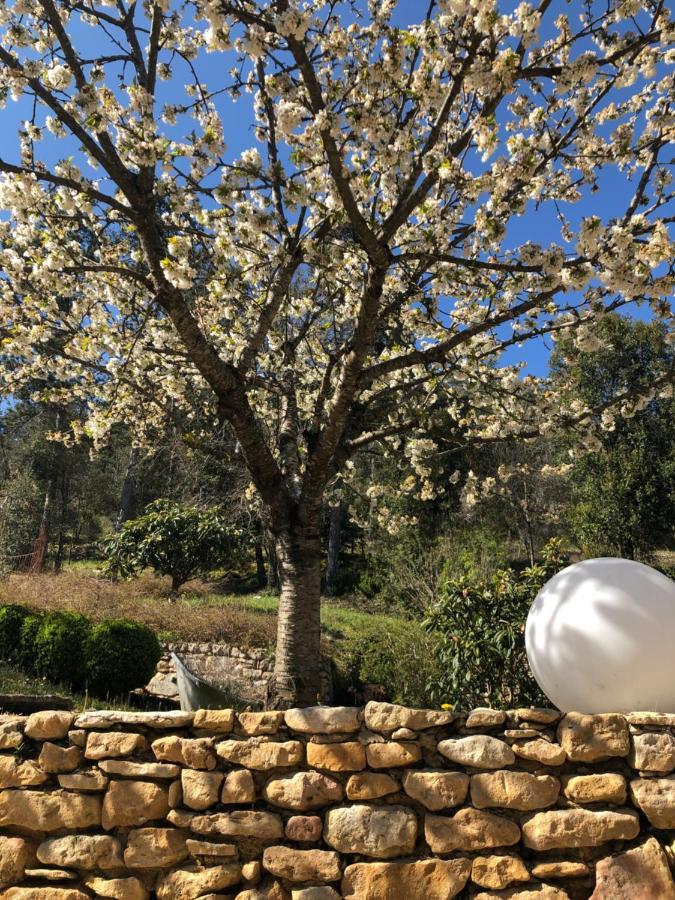 La Tour De Cause Bed & Breakfast Castelnaud-la-Chapelle